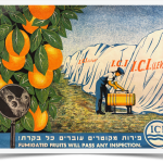 Treasure Trove tells a tale of oranges, fertilizer and bombs